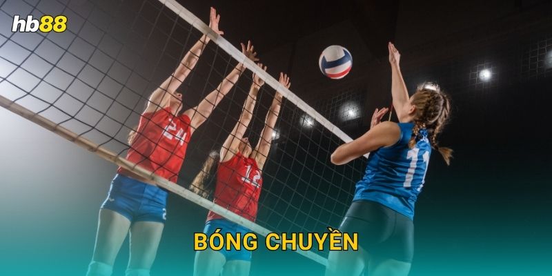 Bóng chuyền nhanh gọn – Cược từng set hấp dẫn tại Hb88 1 Bóng chuyền nhanh gọn – Cược từng set hấp dẫn tại Hb88