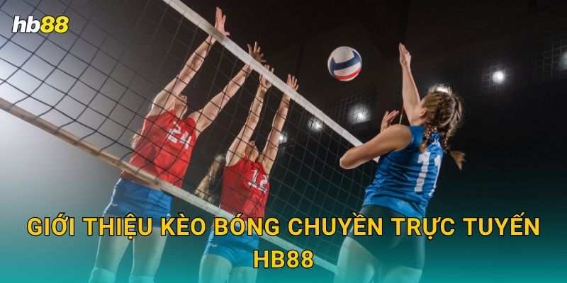 Bóng chuyền nhanh gọn – Cược từng set hấp dẫn tại Hb88 2 Giới thiệu kèo Bóng chuyền trực tuyến Hb88