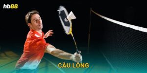 Cầu lông hấp dẫn – Tỷ lệ cược cực ưu đãi tại Hb88