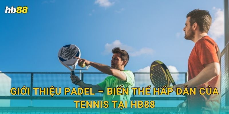 Padel ưu đãi – Môn thể thao thời thượng tại Hb88 2 Giới thiệu Padel – Biến thể hấp dẫn của Tennis tại Hb88