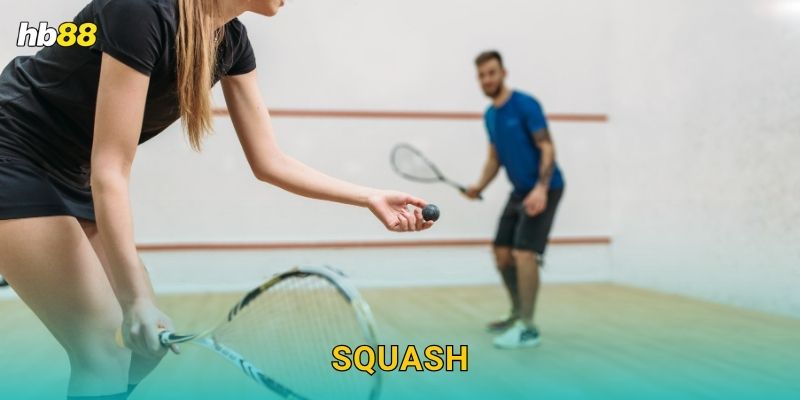 Squash an toàn – Sảnh thể thao chuẩn quốc tế tại Hb88 1 Squash an toàn – Sảnh thể thao chuẩn quốc tế tại Hb88