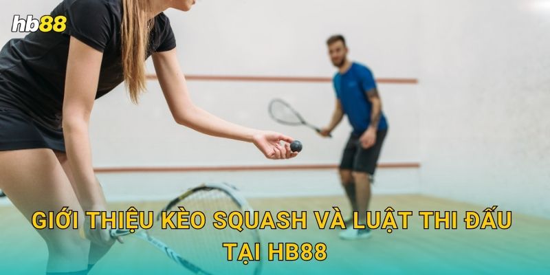 Squash an toàn – Sảnh thể thao chuẩn quốc tế tại Hb88 2 Giới thiệu kèo Squash và luật thi đấu tại Hb88