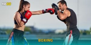 Boxing kịch tính – Đối đầu nảy lửa tại Hb88