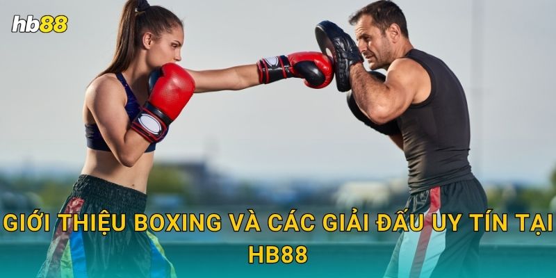 Boxing kịch tính – Đối đầu nảy lửa tại Hb88 2 Giới thiệu Boxing và các giải đấu uy tín tại Hb88
