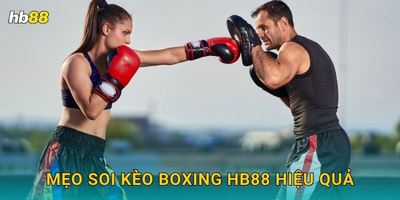 Boxing kịch tính – Đối đầu nảy lửa tại Hb88 3 Mẹo soi kèo Boxing Hb88 hiệu quả