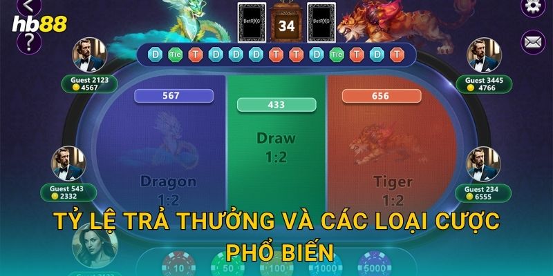 Dragon Tiger nhanh gọn – Cảm giác hồi hộp đỉnh cao tại Hb88 3 Tỷ lệ trả thưởng và các loại cược phổ biến