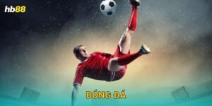 Bóng đá hấp dẫn – Cá cược tỷ lệ cao nhất tại Hb88